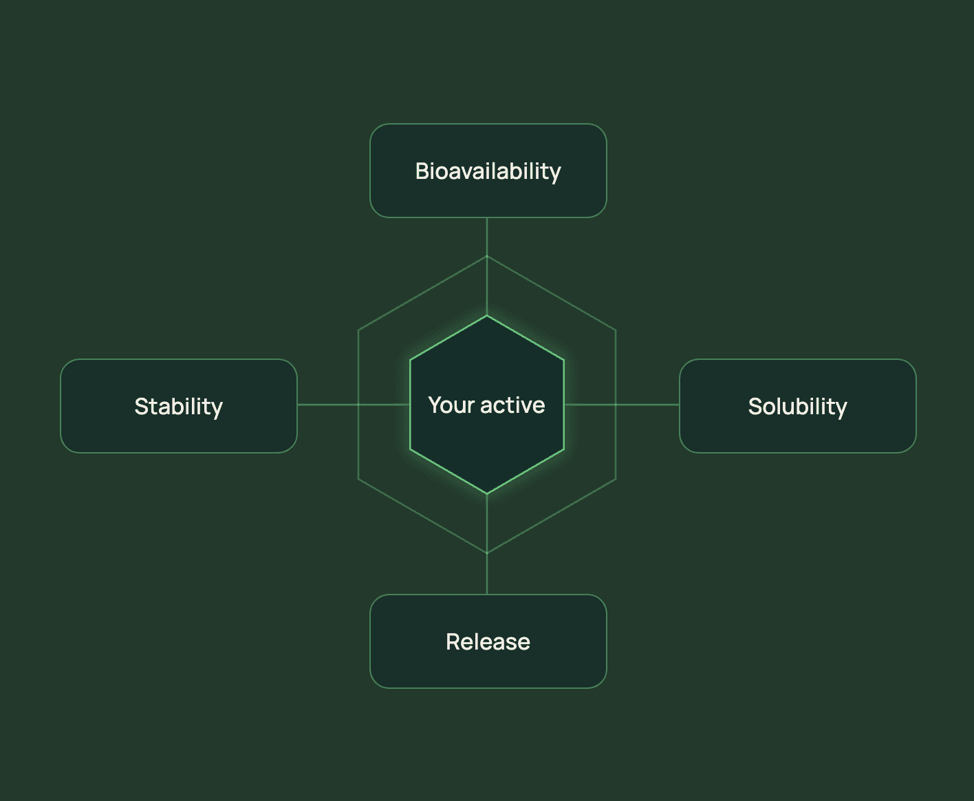 Diagram connecting an active with bioavailability, solubility, stability and release